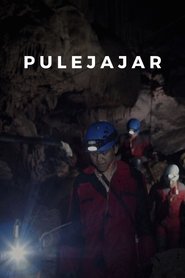 Pulejajar 2020