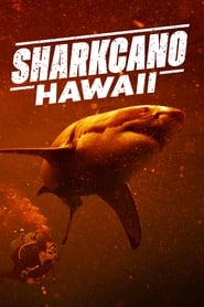 Sharkcano: Hawaii 2023