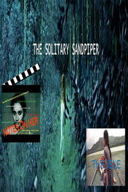 The Solitary Sandpiper (2005)