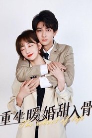 重生暖婚甜入骨 (2021)