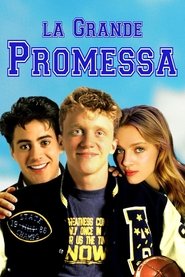La grande promessa) La grande promessa (1988)
