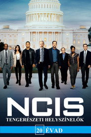 NCIS: Tengerészeti helyszínelők 20. évad plakát