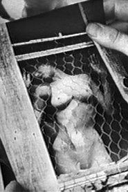 Poster La Femme Image 1960