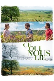 Ce qui nous lie (2017)