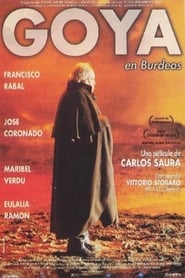 Goya en Burdeos (1999)