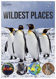 Wildest Places постер