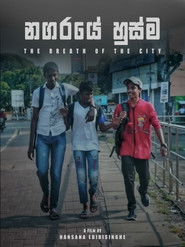 The Breath of the City (2025)