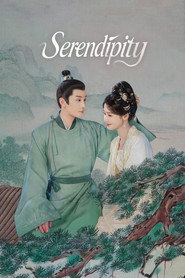 Serendipity poster