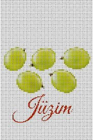 Jüzim