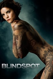 Blindspot (2015)