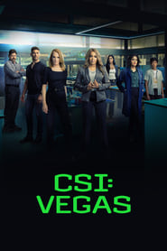 CSI: Vegas Season 2 Episode 21