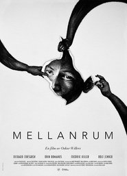 Poster Mellanrum