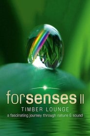 Poster Forsenses II: Timber Lounge 2011