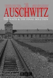 Auschwitz: The Nazis and the 'Final Solution' постер