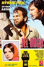 Poster Tel Örgü