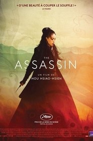 The Assassin streaming