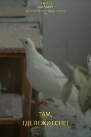 There Where The Snow Lies (2019)