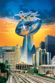 Super Bowl XIV