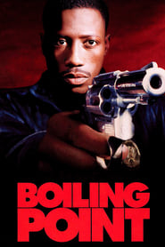 Boiling Point (1993)