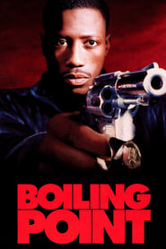 Poster Boiling Point 1993