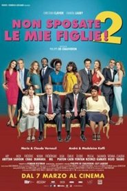 Non sposate le mie figlie 2