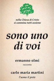 Poster Vedete, sono uno di voi 2017