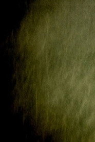 Poster for Into Daylight