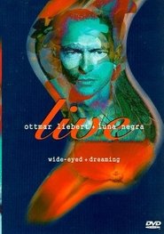 Poster Ottmar Liebert + Luna Negra: Wide-Eyed + Dreaming 1998