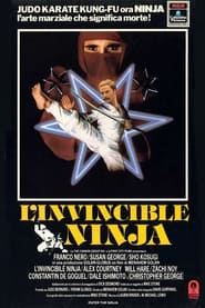 L'invincibile ninja