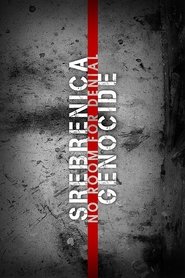 Srebrenica Genocide: No Room for Denial (2017)