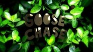 Goose Chase