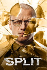 Descargar múltiple Pelicula (2016) Completa Online Gratis