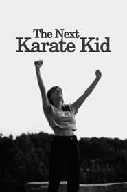 El Karate Kid 4 (1994) HD 1080p Latino