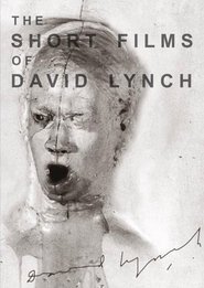 The Short Films of David Lynch