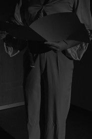 The Horse Head Incident (2024)