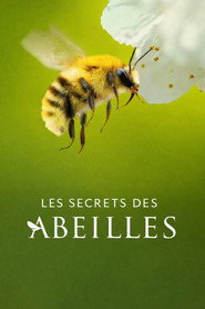 Les Secrets des abeilles (2026)