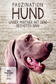Poster Faszination Hund - Unser Partner mit dem sechsten Sinn