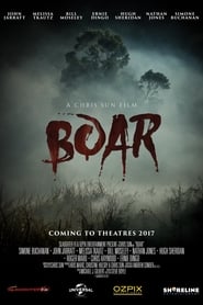 Boar постер