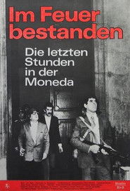 Poster Steadfast in Fire 1978