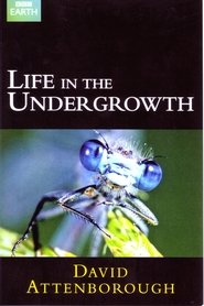Life in the Undergrowth