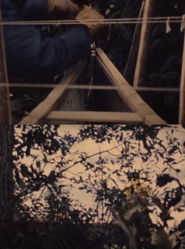 The Craftsman - Part 2 (1970)