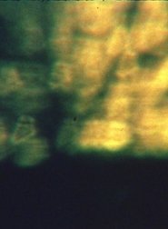 Poster Estuary #1 1998