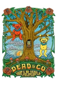 Poster Dead & Company: 2021-08-16 Coastal Credit Union Music Park at Walnut Creek, Raleigh, NC