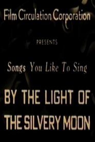 Poster By the Light of the Silvery Moon 1927