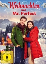 Poster Weihnachten mit Mr. Perfect