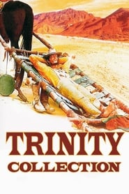 Fiche et filmographie de Trinity Collection