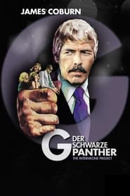 Poster Der schwarze Panther