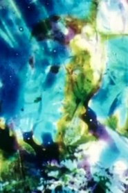 Poster Vitrail (effacement / disparition) 2004
