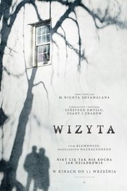 Wizyta cały film