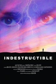 Poster Indestructible 2008